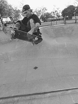 feed 10017-3